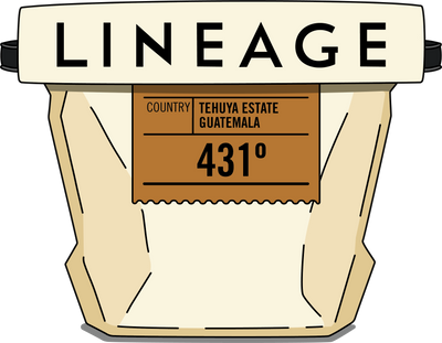 Bag of Lineage coffee beans from Guatemala for their 431 / Four Thirty One roast profile