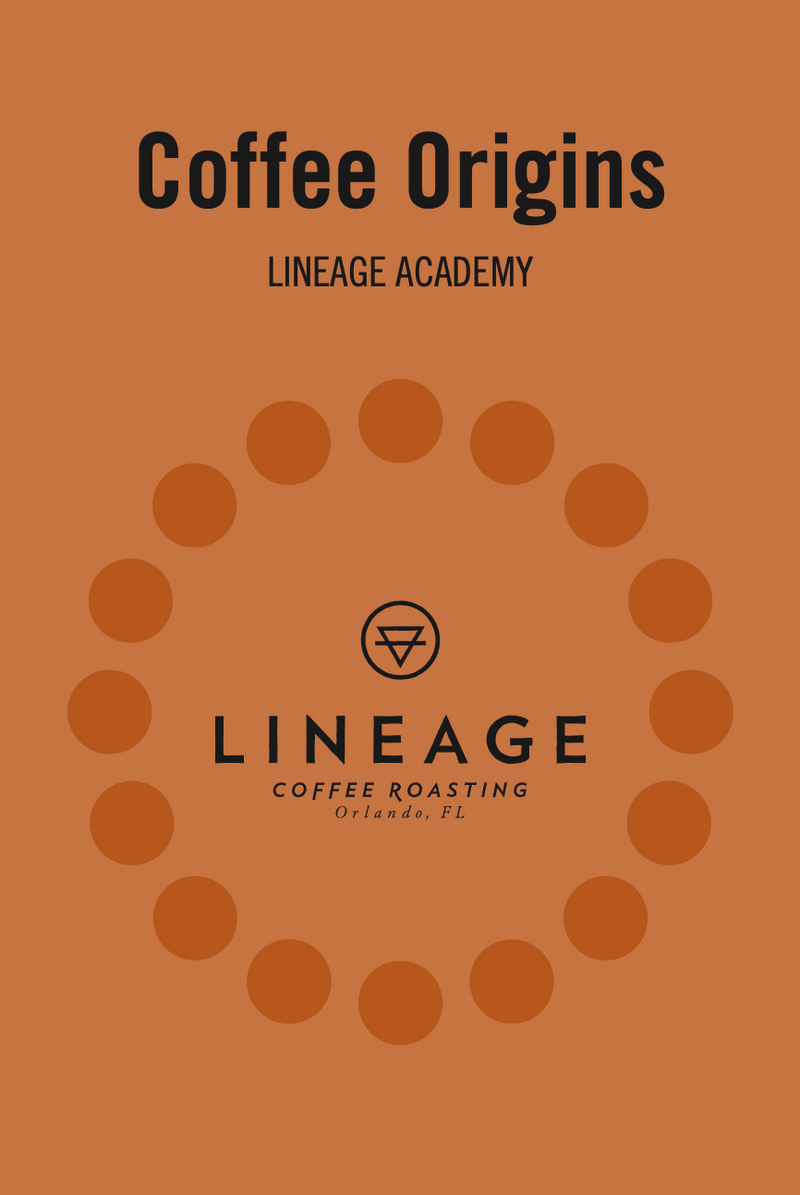 Lineage Academy book number six - about Coffee Origins. Written in house by Lineage Coffee Roasting