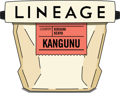 Bag of Lineage coffee beans from Kenya's Kangunu