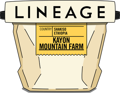 Bag of Lineage coffee beans from Ethiopia's Kayon Mountain Farm