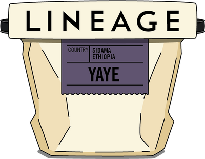 Ethiopia, Yaye - Odakko Project